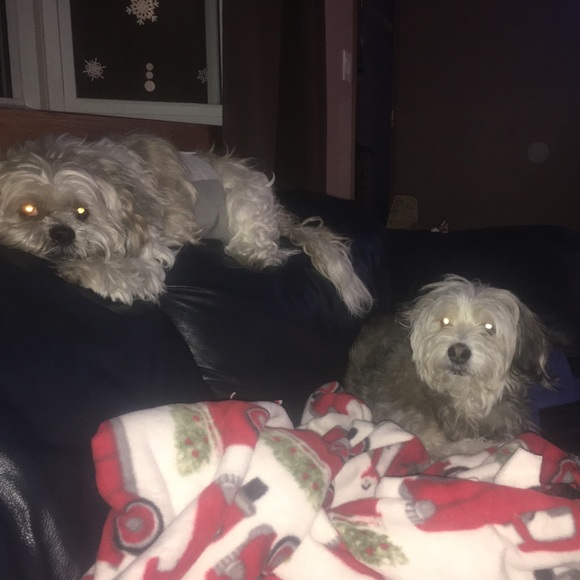 Meet your Posher, Lisa - Picture 3 of 10